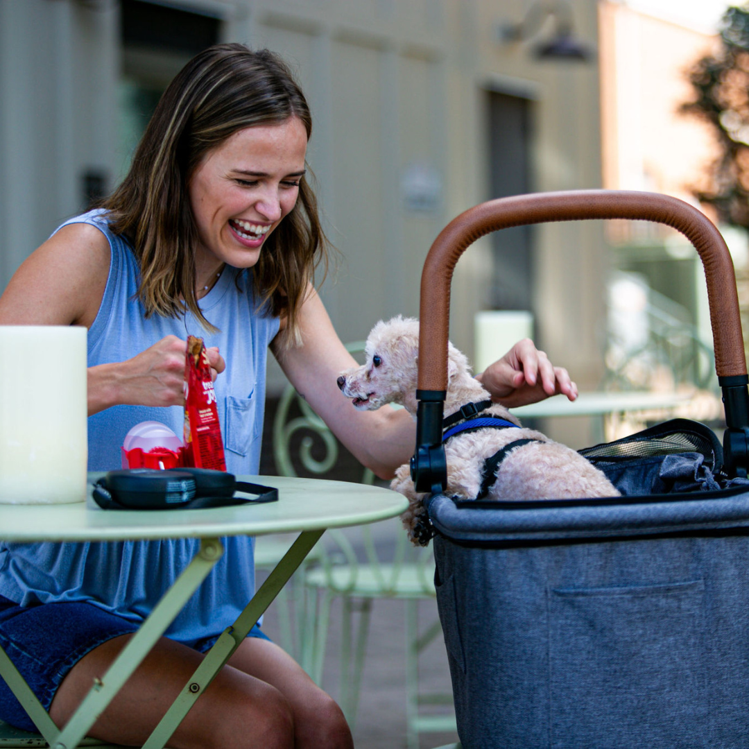 Pet Strollers: Helping Your Senior and Injured Pets Live Their Best Life