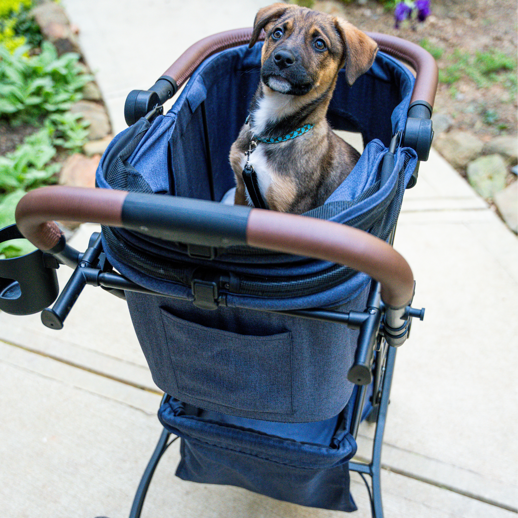 Pre Order- Strolee Stability Shopper & v3 Pet Bassinet Bundle - Ships October 30th
