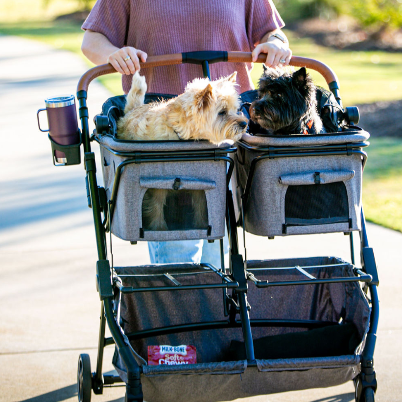 Best Double Pet Stroller for Dogs & Cats 2023 Strolee