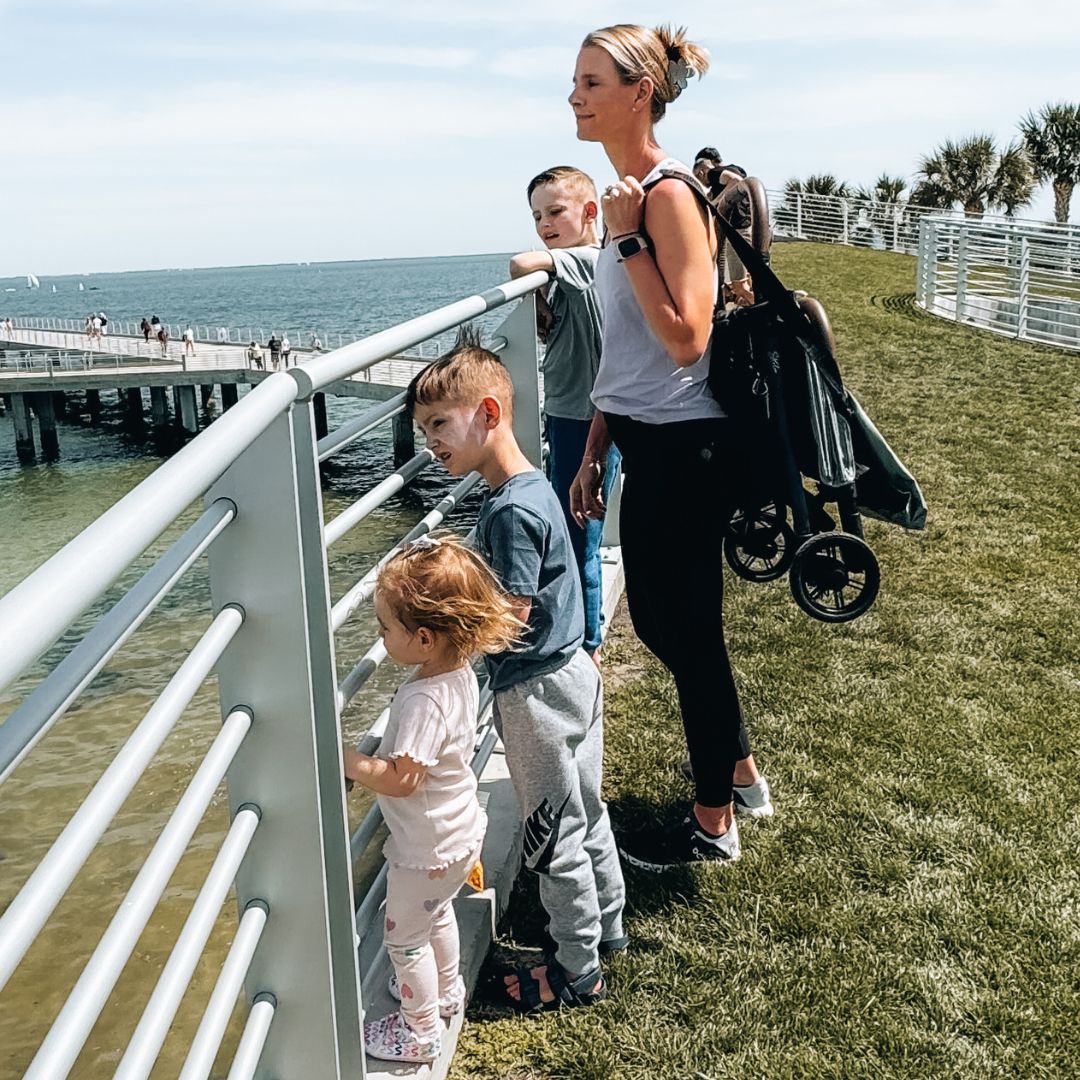 Universal Strolee Carrying Straps