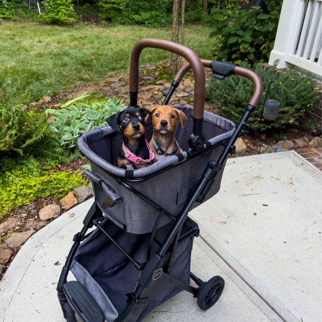 v3 Quick Clip Pet Bassinet Only (No Stroller Frame)