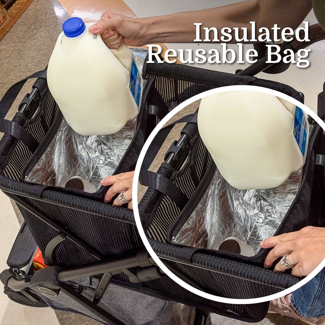 Insulated Freezer & Organizer Bags For Personal Shopper