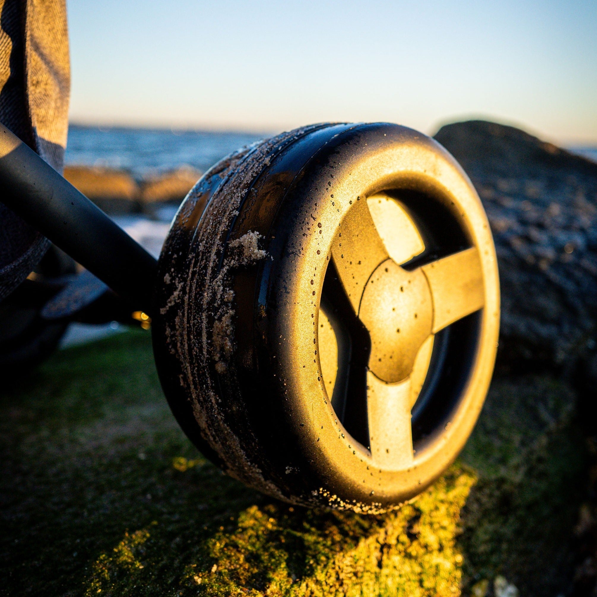 Beach Wheels For Pet & Original Shopper