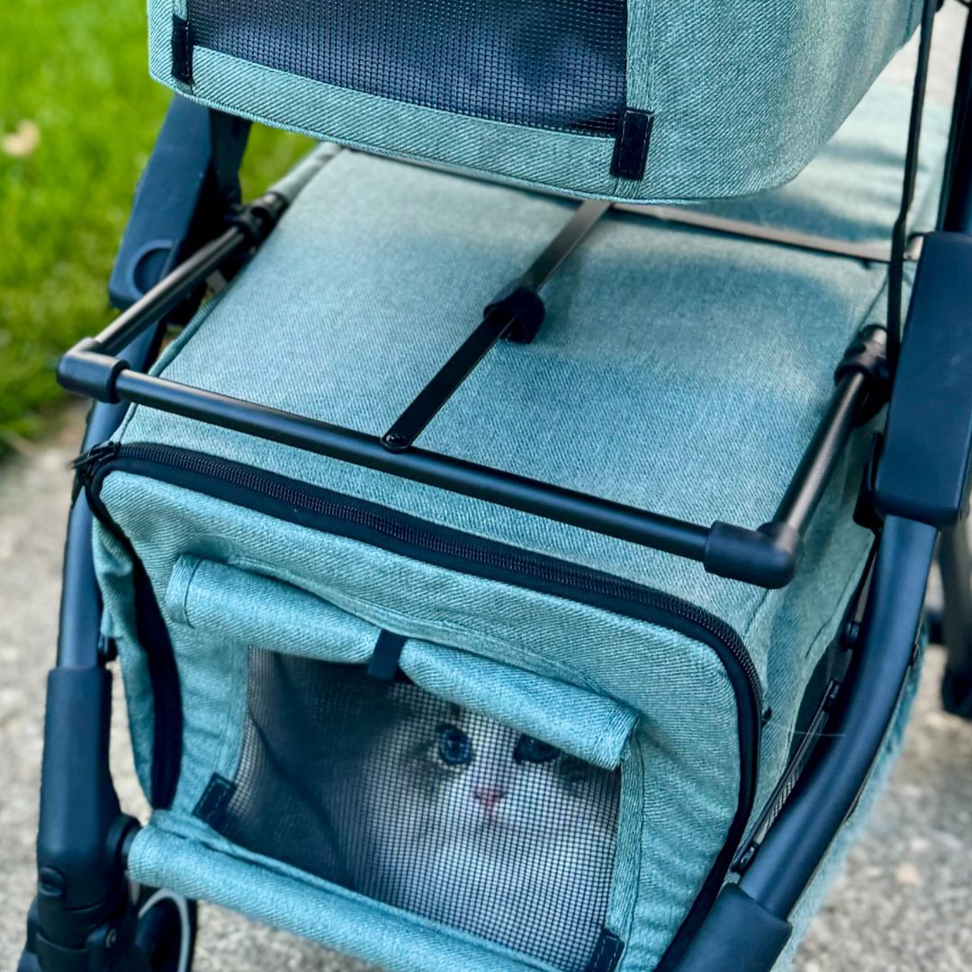 Lower Pet Seating Add On