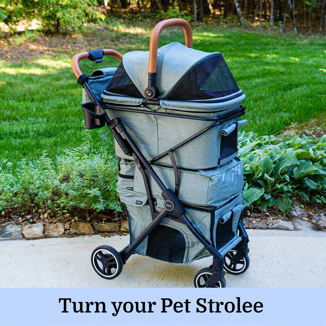 Personal Shopping Bag Replacement