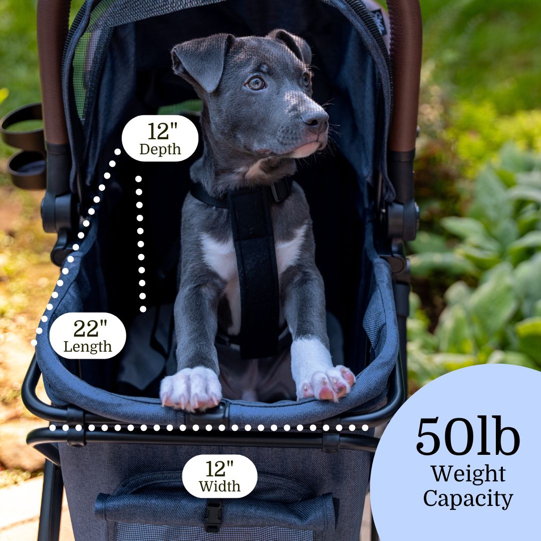 2 Pet Stroller & Personal Shopper Bundle v3