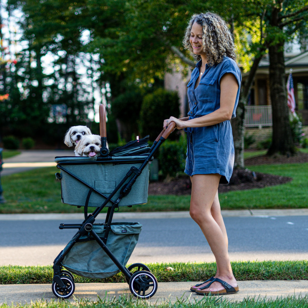 5 Practical & Loving Reasons Every Pet Deserves a Stroller