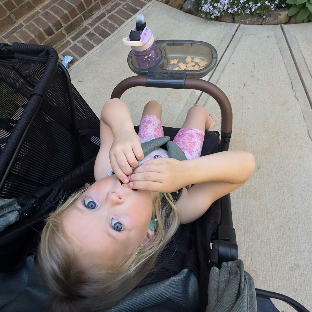Baby Stroller Snack Tray