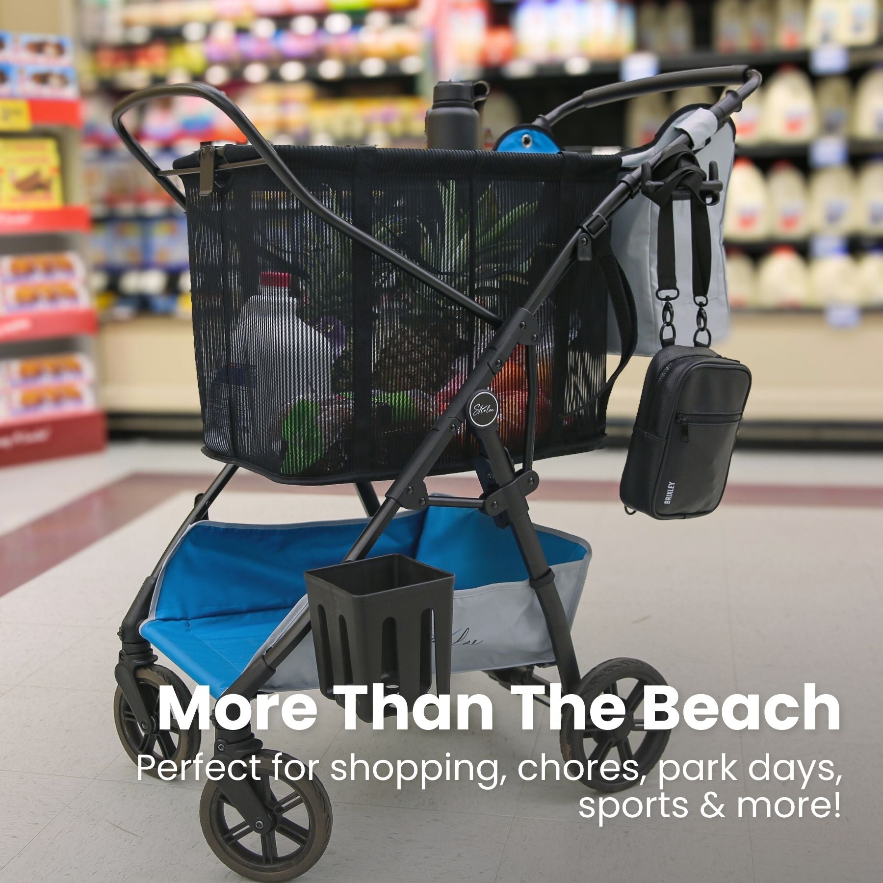 Beach & Street Cart v3