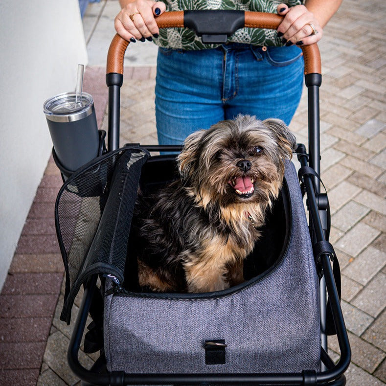 Airline Travel Carrier & Elevated Car Seat