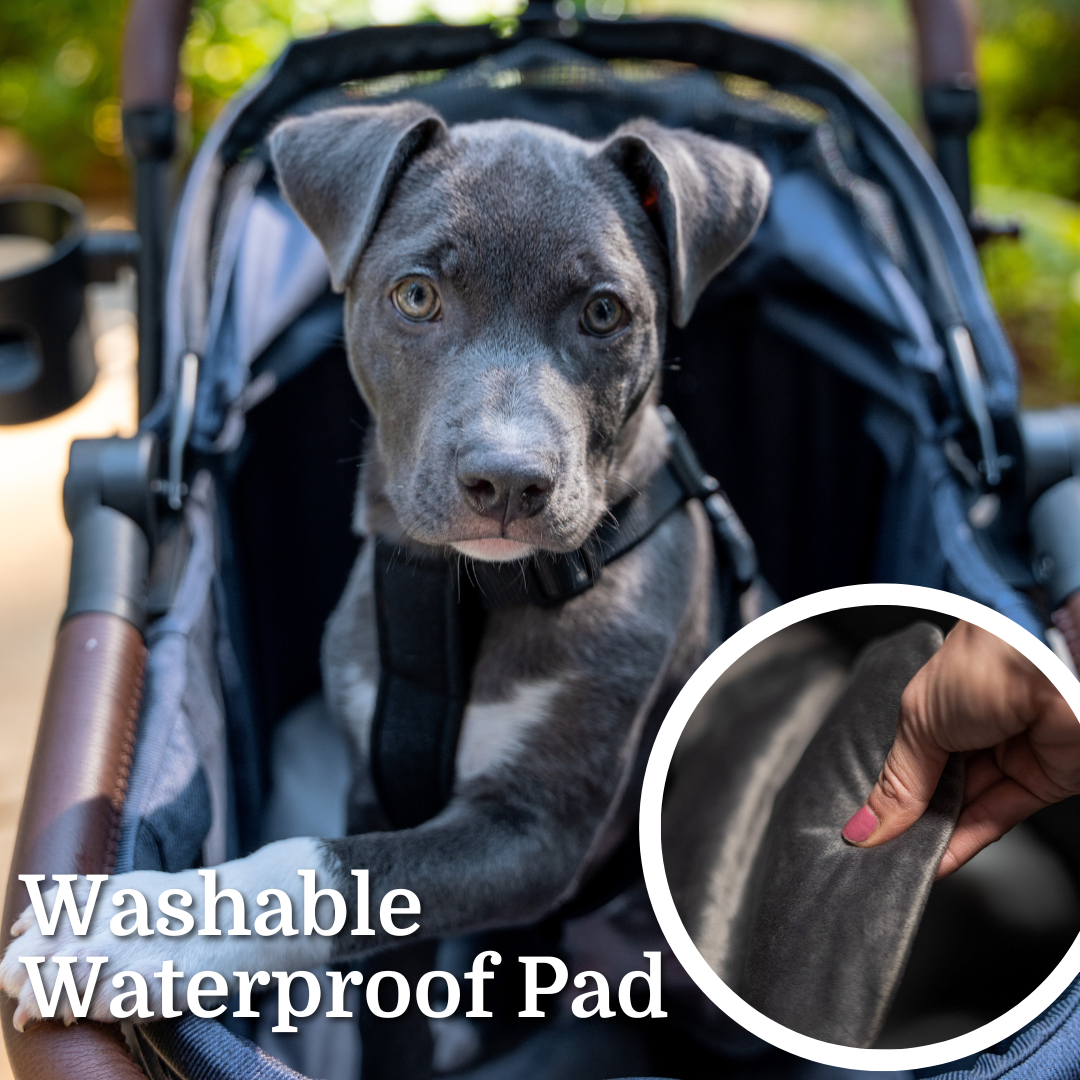 Warehouse Clearance- v2 Pet Strolee & Personal Shopper