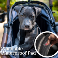 Strolee Stability Pet