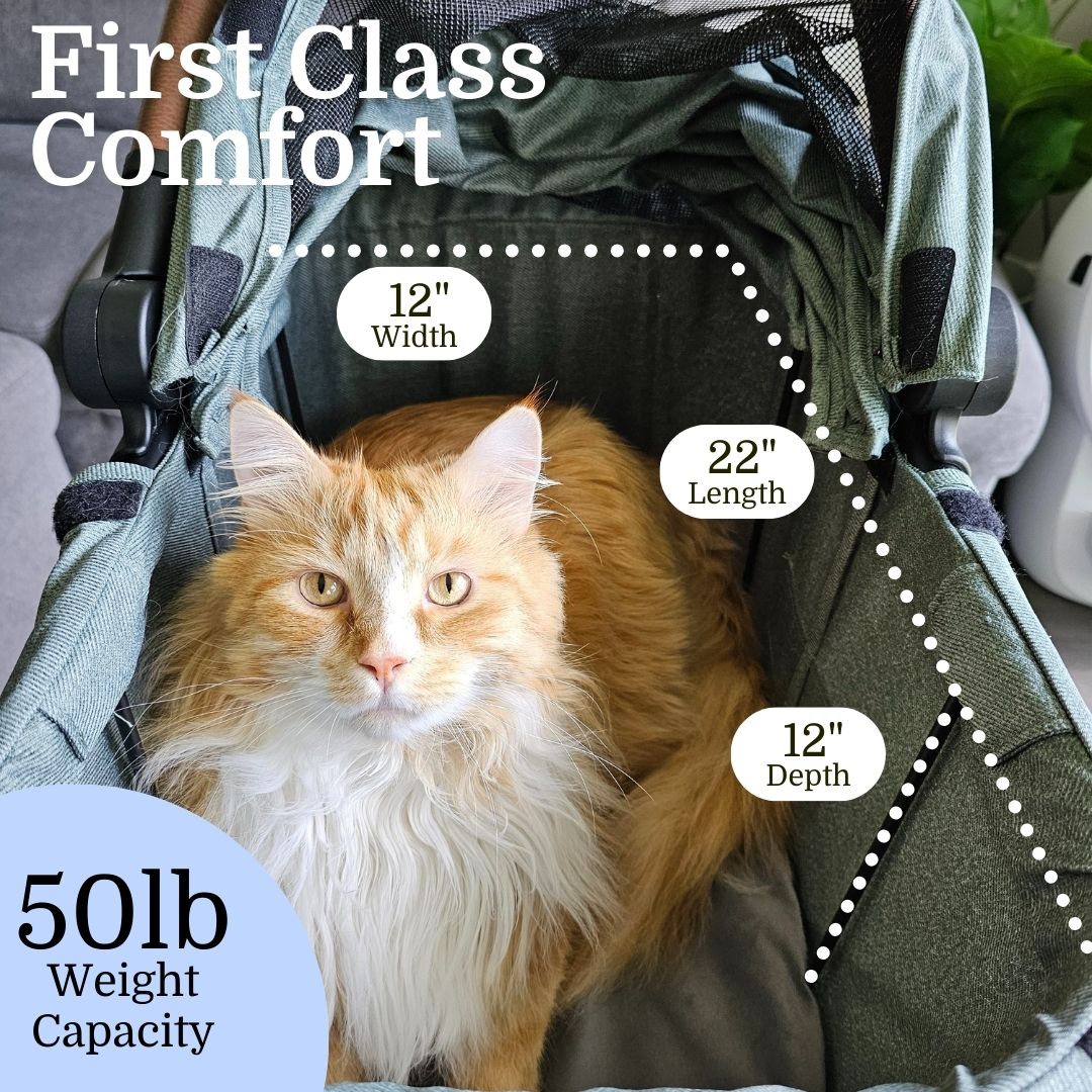 Warehouse Clearance- v2 Pet Strolee & Personal Shopper