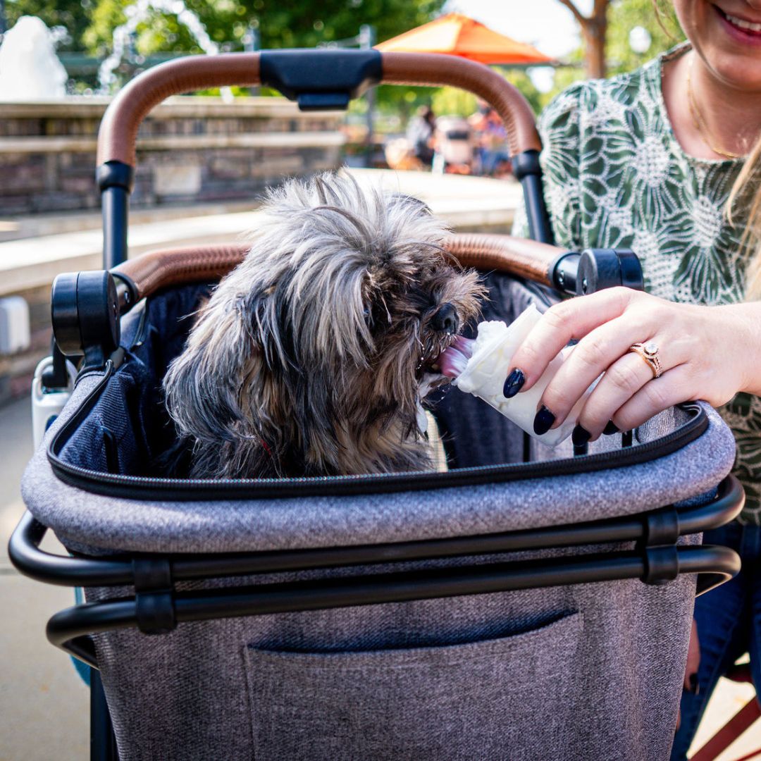Pet Stroller, Personal Shopper & Parent Organizer Bundle