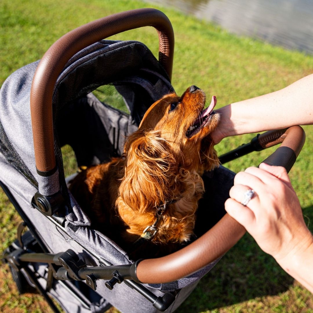 Pet Stroller & Personal Shopper 2 in 1 Bundle