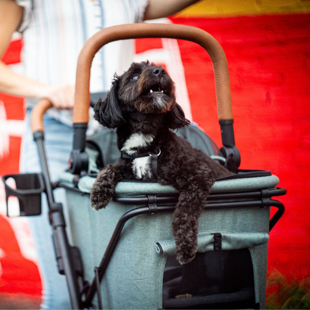 Luxury Pet Stroller