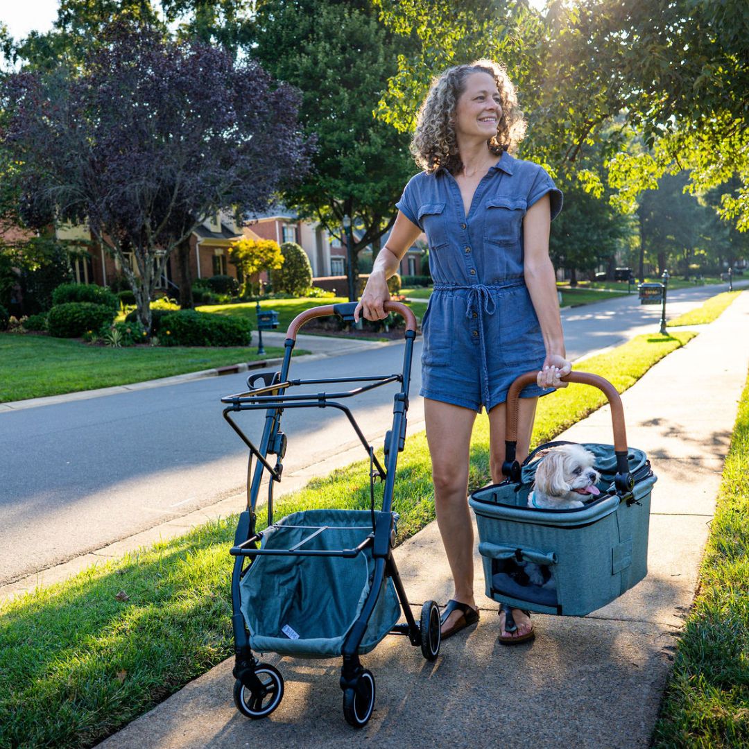 Pet Stroller, Personal Shopper & Parent Organizer Bundle
