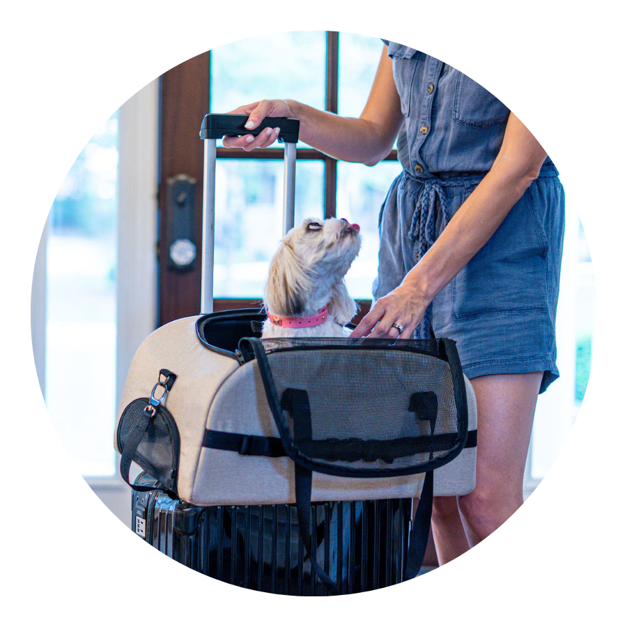 Best Pet Travel Carrier & Car Seat for Dogs & Cats 2023 - Strolee Shadow