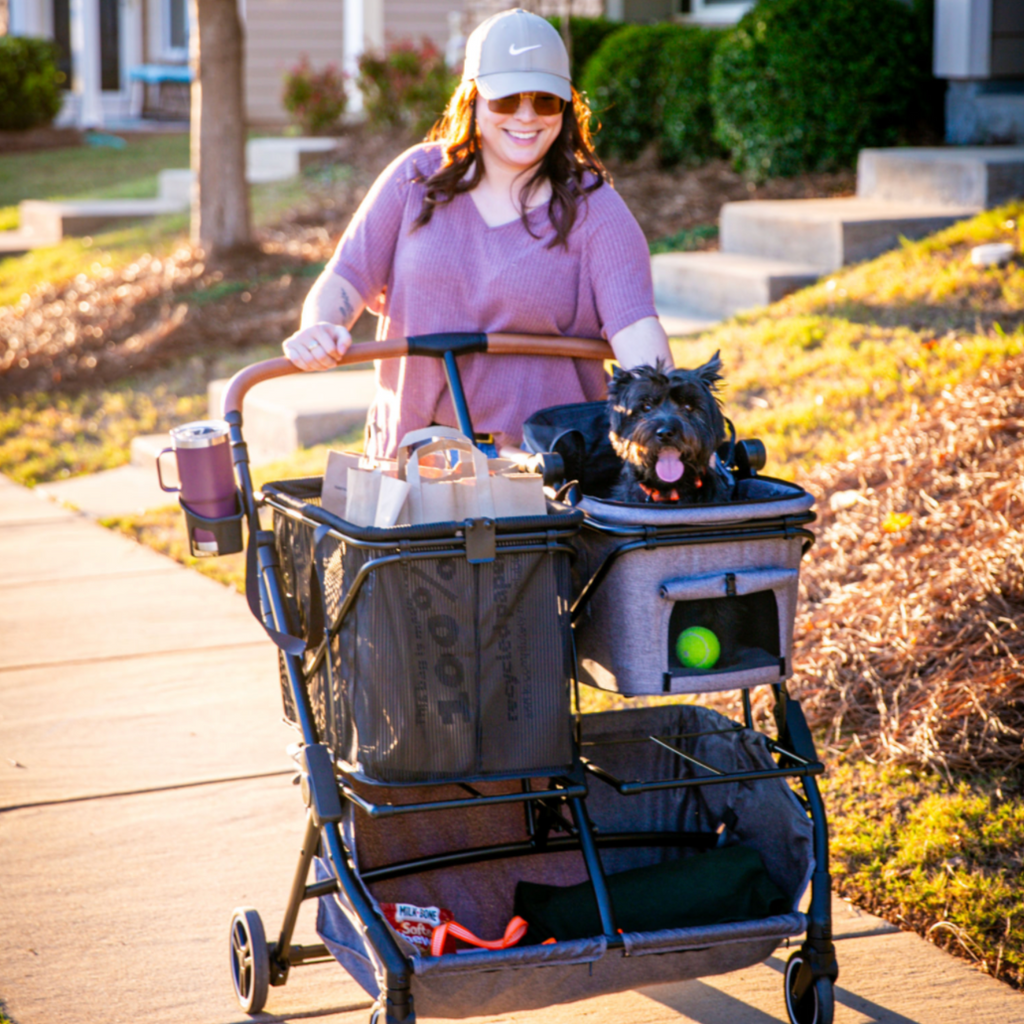 Best Pet Travel Carrier & Car Seat for Dogs & Cats 2023 - Strolee Shadow