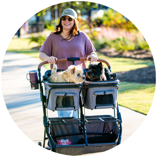 Best Double Pet Stroller for Dogs & Cats 2023 Strolee