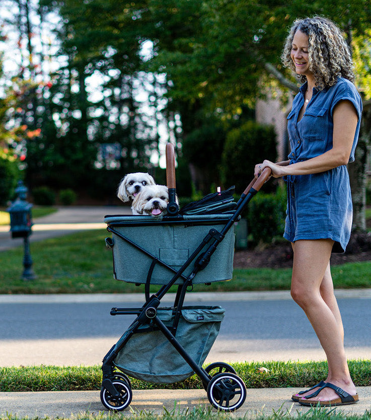 Best Pet Travel Carrier & Car Seat for Dogs & Cats 2023 - Strolee Shadow