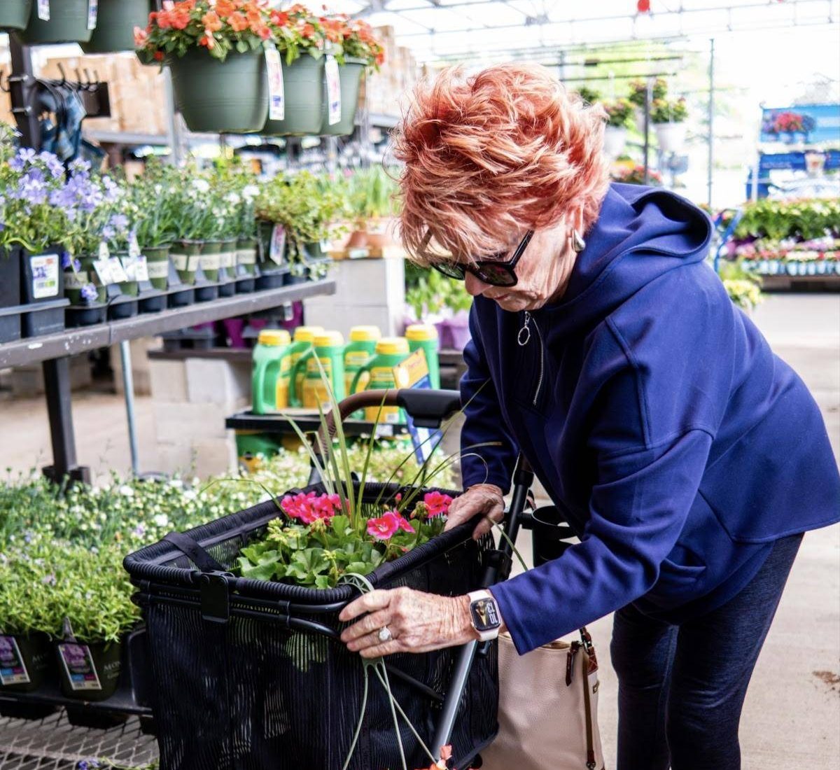 A woman in a garden center sets a potted flower into the mesh bag of her Strolee cart