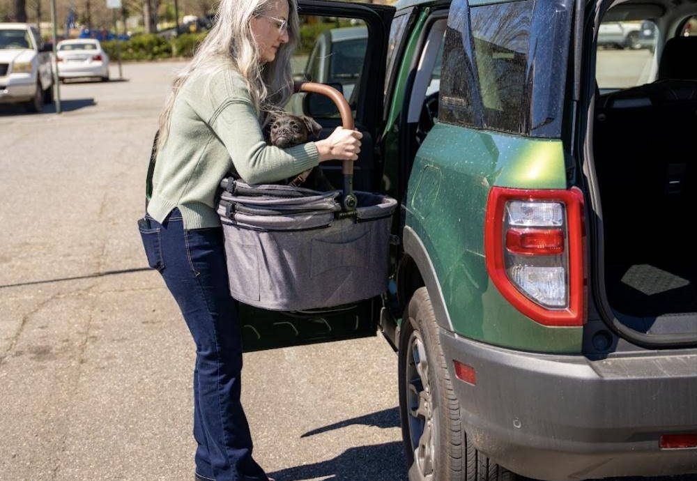 A woman lifts the Strolee pet bassinet, with her small dog inside, out of the back of her SUV
